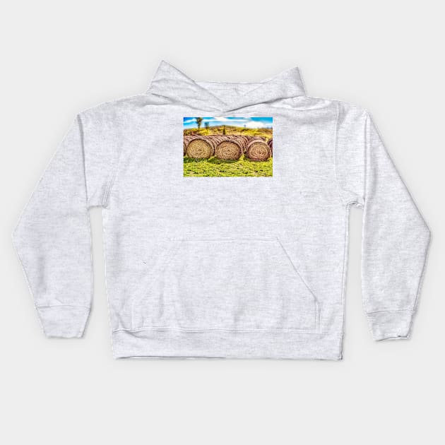 Hay Bales 5 Kids Hoodie by Robert Alsop